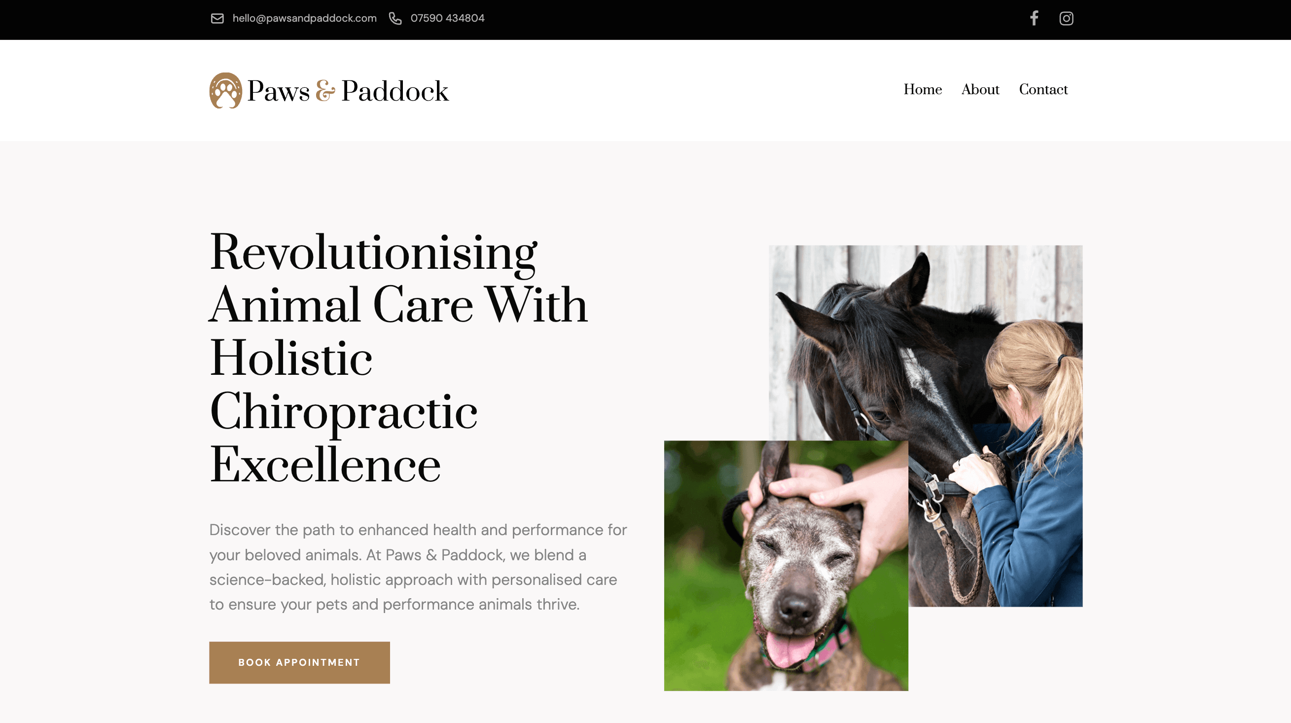 pawsandpaddock-website-screenshot